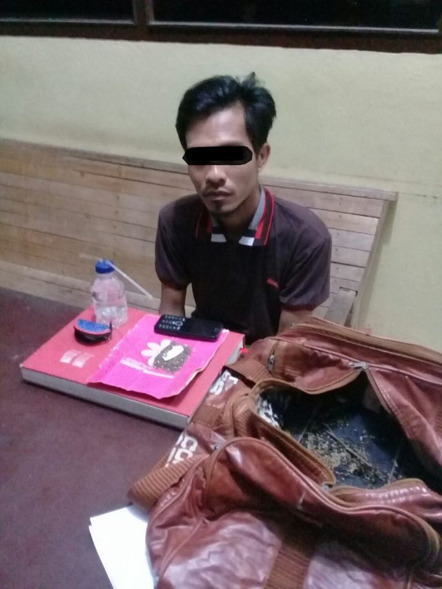 WhatsApp Image 2017-08-07 at 06.51.49