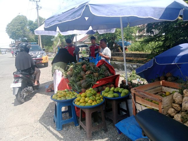 WhatsApp Image 2024-07-12 at 17.13.13_7675027b