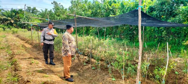 Upaya Mendukung Ketahanan Pangan, Bhabinkamtibmas Sambangi Petani
