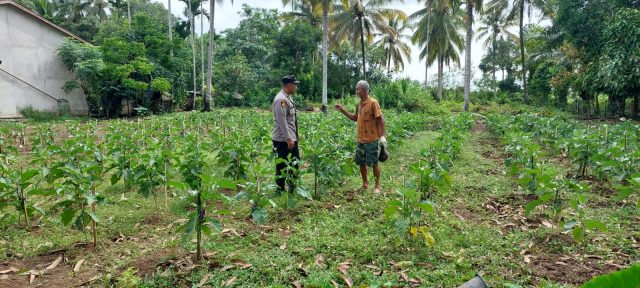 Bhabinkamtibmas Sambang Petani Ajak Sukseskan Ketahan Pangan Nasional
