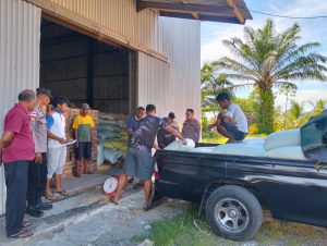 Bulog Serap 1,35 Ton Jagung Petani, Polsek Woyla Barat Lakukan Monitoring