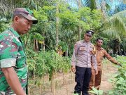 Sambangi Perkebunan Warga, TNI-Polri Perkuat Harkamtibmas di Pedalaman Woyla