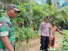 Sambangi Perkebunan Warga, TNI-Polri Perkuat Harkamtibmas di Pedalaman Woyla