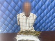 Pengembangan Kasus Ganja, Polres Aceh Barat Sita 1,5 Kilogram Ganja dan Amankan Seorang Tersangka