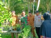 Sinergitas TNI-Polri dan Pemerintah Desa Dorong Ketahanan Pangan Melalui Pekarangan Bergizi