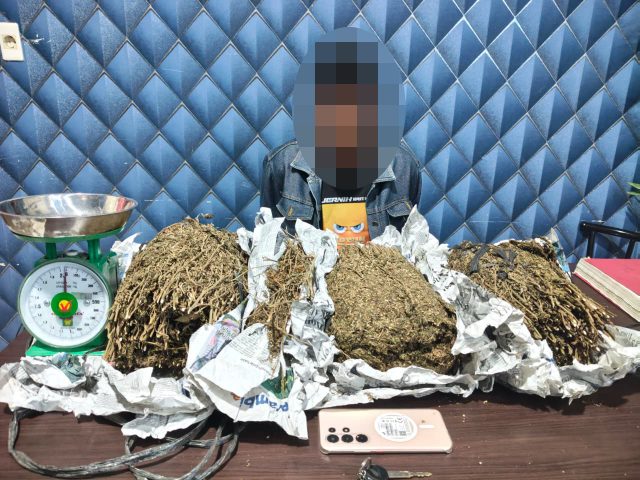 Personel Satresnarkoba Polres Aceh Barat mengamankan tersangka DPO kasus narkotika jenis ganja beserta barang bukti hasil pengembangan di Kecamatan Beutong, Kabupaten Nagan Raya, Senin (27/7/2026). Dok. Polres Aceh Barat.