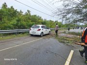 Angin Kencang Tumbangkan Pohon dan Tiang Listrik di Jalur Nasional Meulaboh–Banda Aceh, Polisi Bergerak Cepat Amankan Lalu Lintas