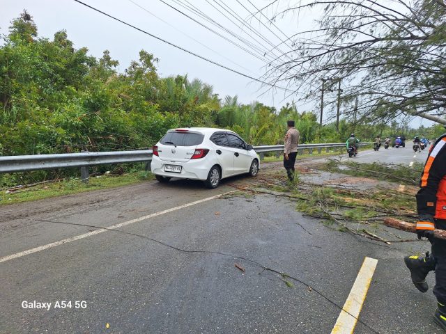 Personel Polsek Samatiga mengatur arus lalu lintas selama proses pembersihan pohon tumbang akibat angin kencang di Jalan Nasional Meulaboh–Banda Aceh, Gampong Suak Timah, Kecamatan Samatiga, Kamis (6/8/2026).