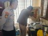 Uji Kualitas Tuntas, Jagung Petani Kaway XVI Siap Diserap Bulog