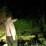 Deteksi Titik Api di Karang Hampa, Polisi Tempuh 4 Kilometer untuk Pastikan Kondisi Lapangan