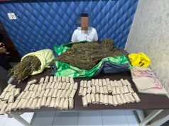 Tim Opsnal Satresnarkoba Aceh Barat Sita 15 Kilogram Ganja di Gunong Meuh