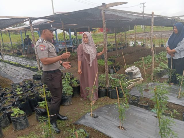 Bhabinkamtibmas Bripda Fakrurrazi saat mendampingi warga mengembangkan Pekarangan Pangan Bergizi di Desa Kuta Padang, Selasa, 20 Oktober 2026. Dok. Polres Aceh Barat