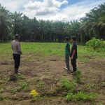 Polres Aceh Barat Cek Kesiapan 1,5 Hektare Lahan Jagung di Kaway XVI untuk Tanam Raya November 2026
